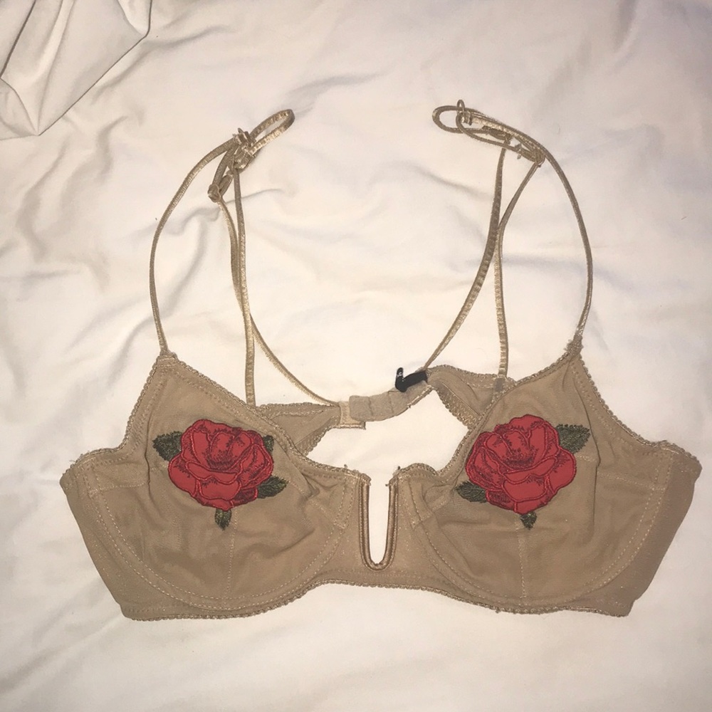 Rose Urban Outfitters Bra!
